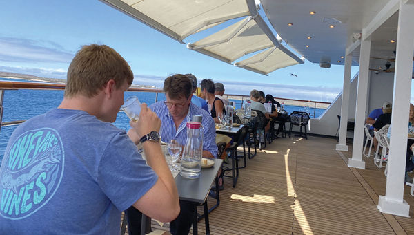 The indoor/outdoor Patio Café. The indoor/outdoor Patio Café.