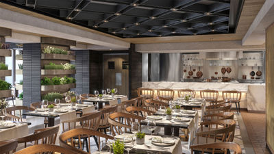 The Chef's Garden Kitchen on the MSC World Europa will feature fresh herbs and greens as décor.