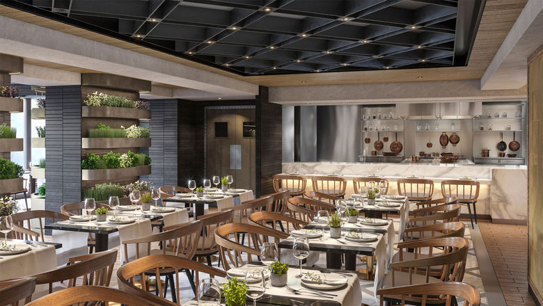 The Chef's Garden Kitchen on the MSC World Europa will feature fresh herbs and greens as décor.