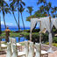 Hyatt Regency Maui and Spa has some proposals