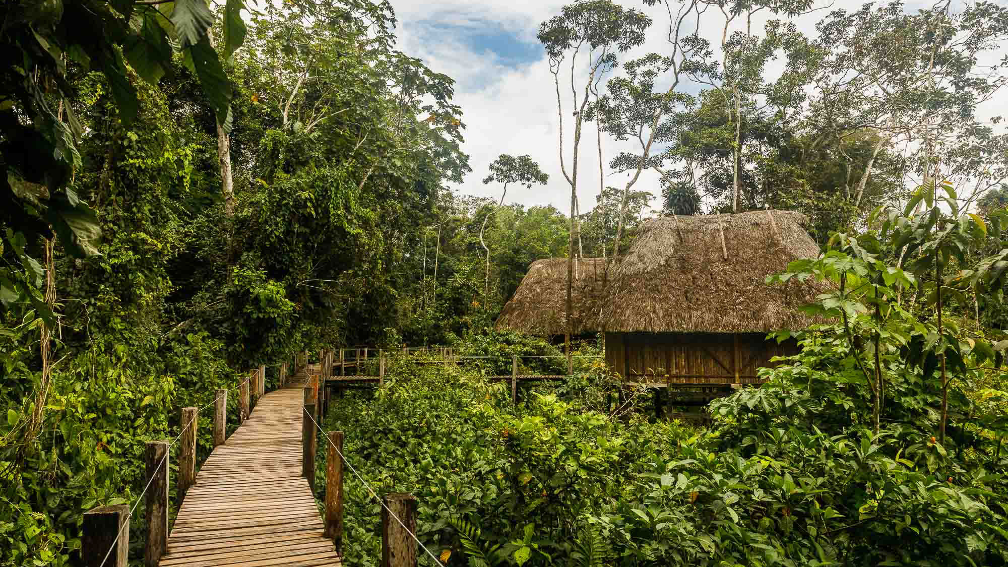 Kapawi features 10 simple yet stylish bungalows built with Achuar architecture and technology.  A raised boardwalk connects each with the lodge's main gathering hut.