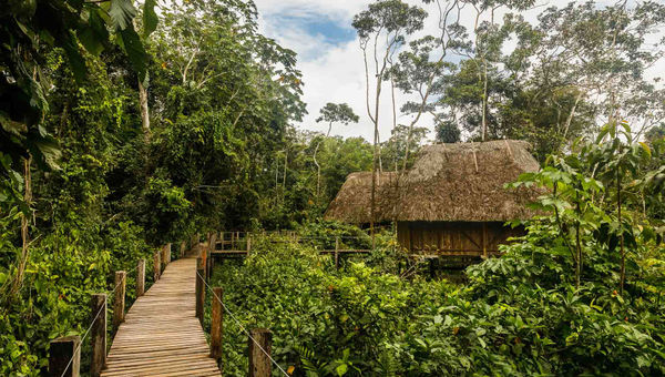 Kapawi features 10 simple yet stylish bungalows built with Achuar architecture and technology.  A raised boardwalk connects each with the lodge's main gathering hut.