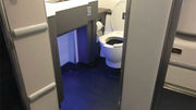 Delta’s Airbus A220 aircraft offer this semi-accessible lavatory model.
