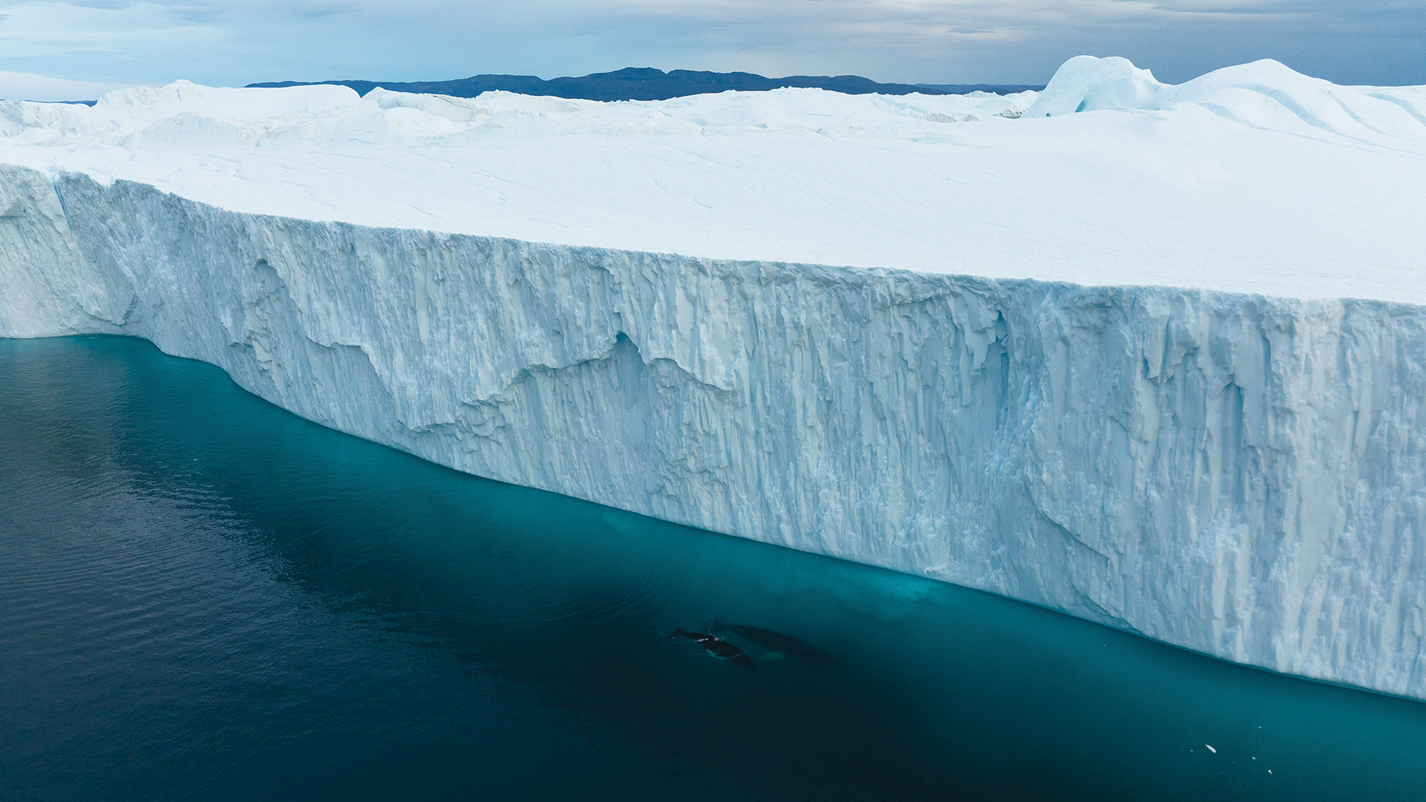 Humpback Icefjord near the town of Ilulissat.