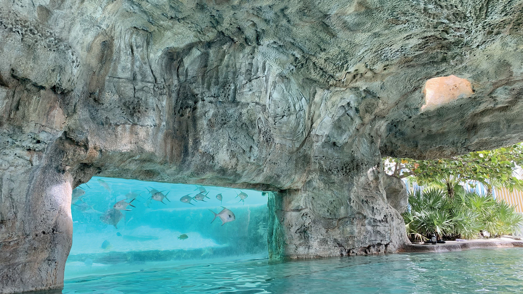 Inside Baha Mar’s replica of Dean’s Blue Hole, swimmers are treated to views of fish, sharks and sea turtles in a nearby aquarium.