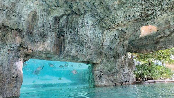 Inside Baha Mar’s replica of Dean’s Blue Hole, swimmers are treated to views of fish, sharks and sea turtles in a nearby aquarium. Inside Baha Mar’s replica of Dean’s Blue Hole, swimmers are treated to views of fish, sharks and sea turtles in a nearby aquarium.