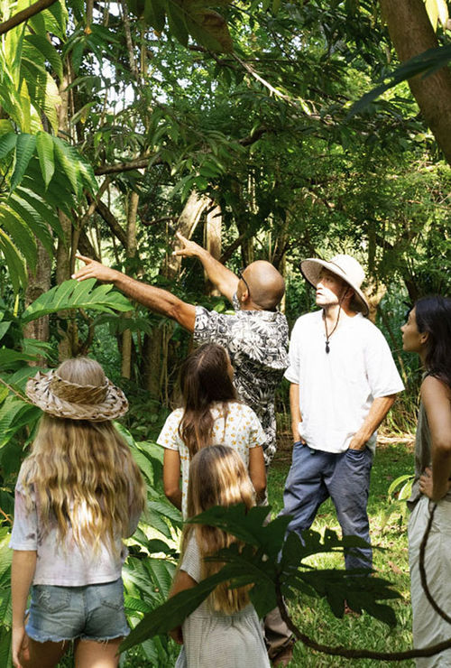 The farm tour educates visitors on agroforestry.