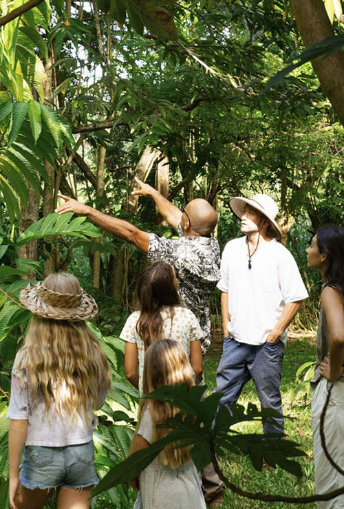 The farm tour educates visitors on agroforestry. The farm tour educates visitors on agroforestry.