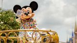 Disney specialists cheer Bob Iger's return as CEO