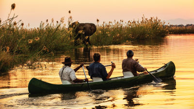 Guests of Great Plains’ Tembo Plains camp in Zimbabwe can canoe down the Zambezi, paddling past elephants and other wildlife.