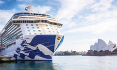 About 800 people on the Majestic Princess tested positive during a 12-day sailing in November.