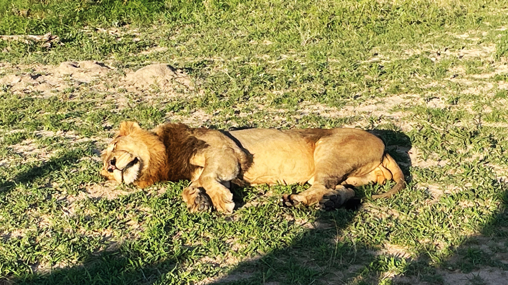 Waterside is located within the Thornybush Game Reserve, which has all of the Big Five: lion, leopard, rhinoceros, elephant and Cape buffalo.