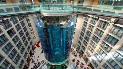 The AquaDom was built in 2004. It had been advertised as the "largest free-standing cylindrical aquarium in the world."