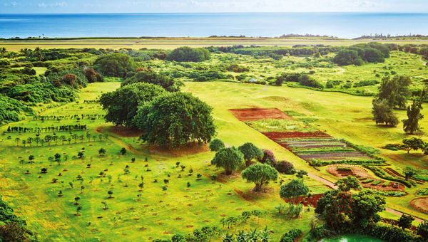 Some new programming takes place at Hokuala, a 16.5 acre organic farm. Some new programming takes place at Hokuala, a 16.5 acre organic farm.