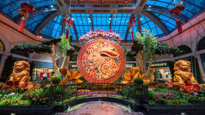 The Bellagio Conservatory’s Year of the Rabbit display will continue through March 4.