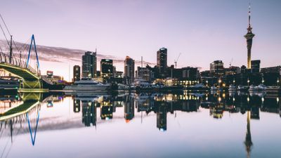 Delta will fly daily to Auckland.