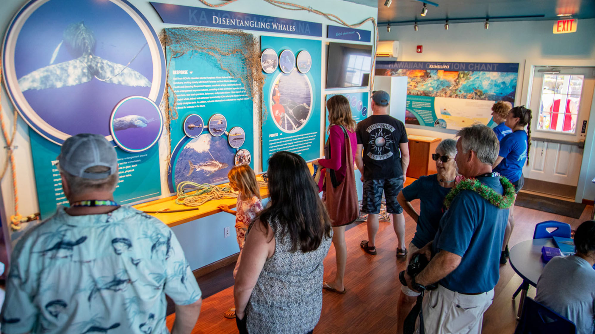 A display on disentangling whales at the Sanctuary's renovated visit center.