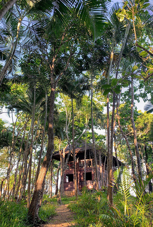 Crusoe's Cabin, Wild Expeditions' base at Cap Masoala. Crusoe's Cabin, Wild Expeditions' base at Cap Masoala.