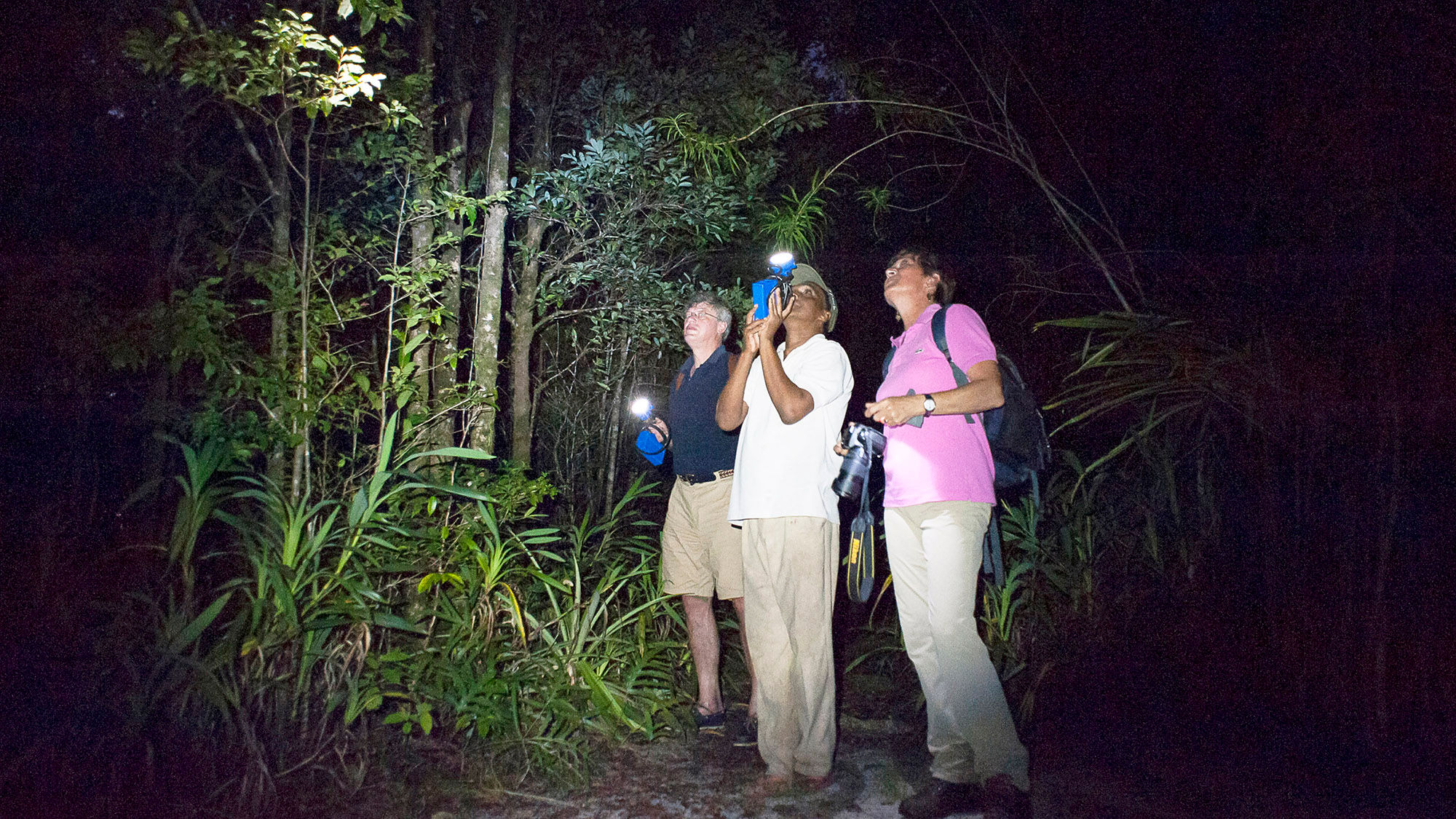 A night walk, usually banned in Madagascar's national parks, is one of the perks of staying at the Masoala Forest Lodge.