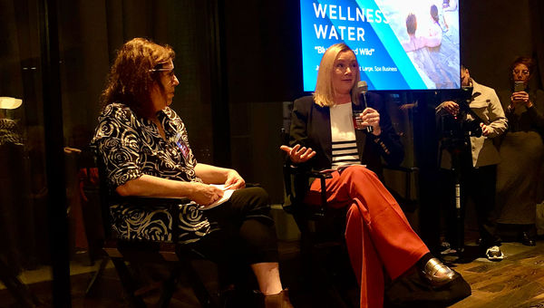 Beth McGroarty (left), vice president of research and forecasting for Global Wellness Summit with Jane Kitchen, editor at large for Spa Business.