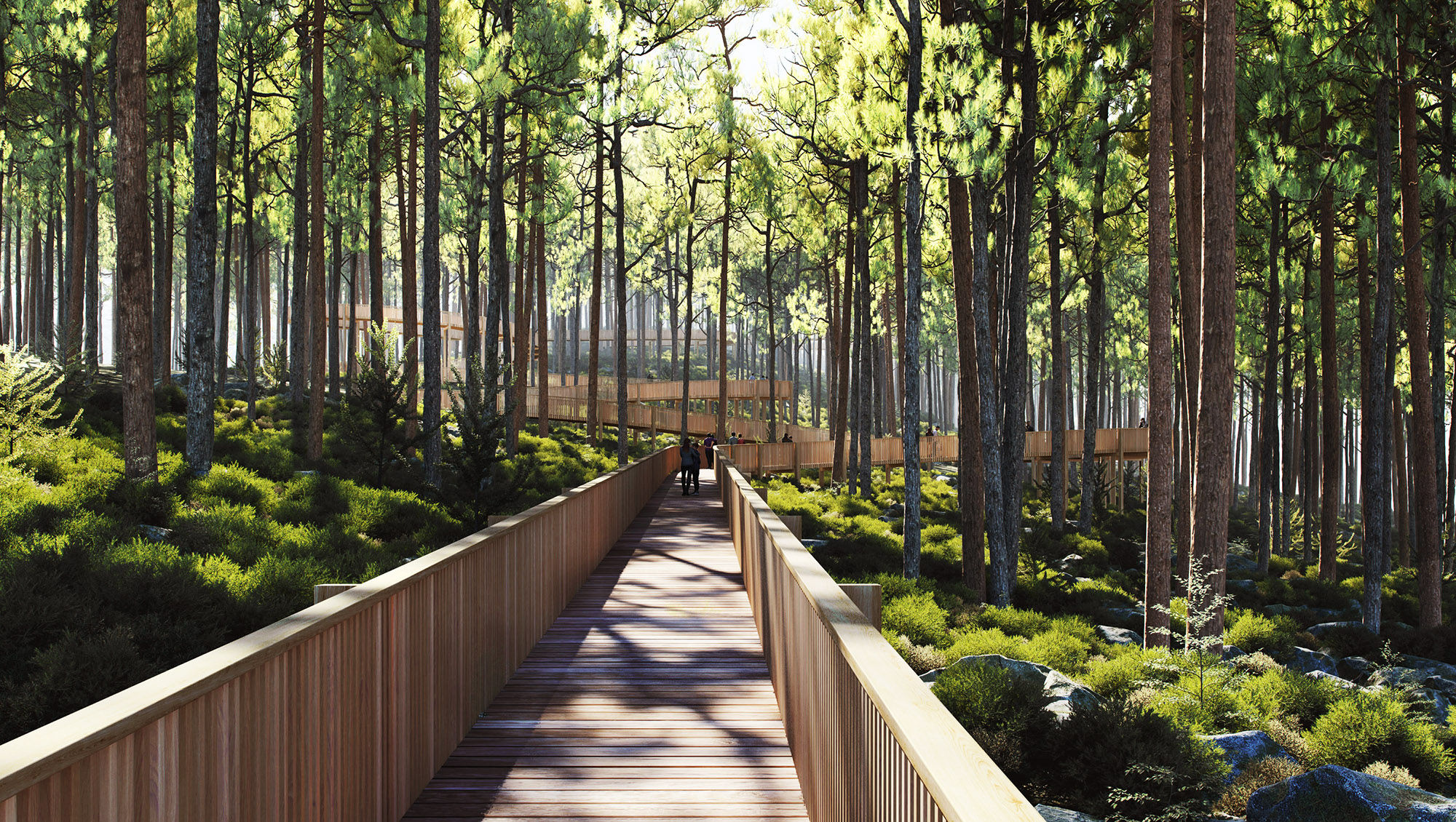 The Treetop Walk Hamaren Activity Park is set to open in June.