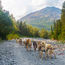 New Alaska tours from Venture Ashore