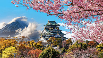 Spring cherry blossoms highlight Princess Cruises’ 2024 Japan season.