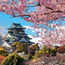 Princess Cruises features new Japan-Alaska voyage in 2024
