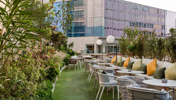 The Wooftop Beer Garden and Canine Club at the Andaz Mexico City Condesa.