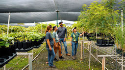 Guests of the new Kualoa Ranch tour stop by a nursery to pick a koa tree to plant.