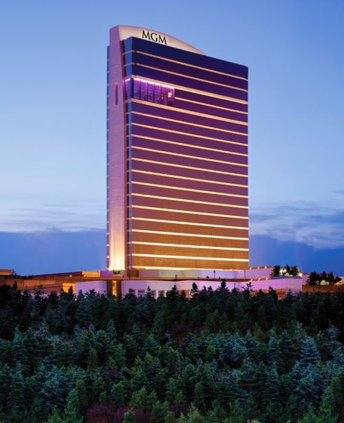The 43-story Water Club will be renamed MGM Tower.