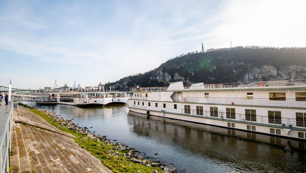 River cruise ships at ASTA's 2023 River Cruise Expo. A few lines, such as Viking and AmaWaterways, brought multiple ships to the expo.