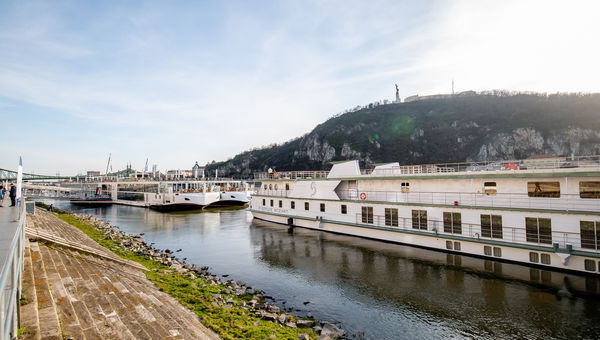 River cruise ships at ASTA's 2023 River Cruise Expo. A few lines, such as Viking and AmaWaterways, brought multiple ships to the expo. River cruise ships at ASTA's 2023 River Cruise Expo. A few lines, such as Viking and AmaWaterways, brought multiple ships to the expo.