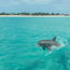 Turks and Caicos is dropping Covid vaccine requirements