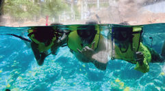 Diving into the Aloha spirit at Oahu's Aulani
