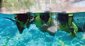 Hanging loose in the Rainbow Reef, the resort's artificial saltwater lagoon, which has an area with glass panels for capturing Instagram-worthy shots.