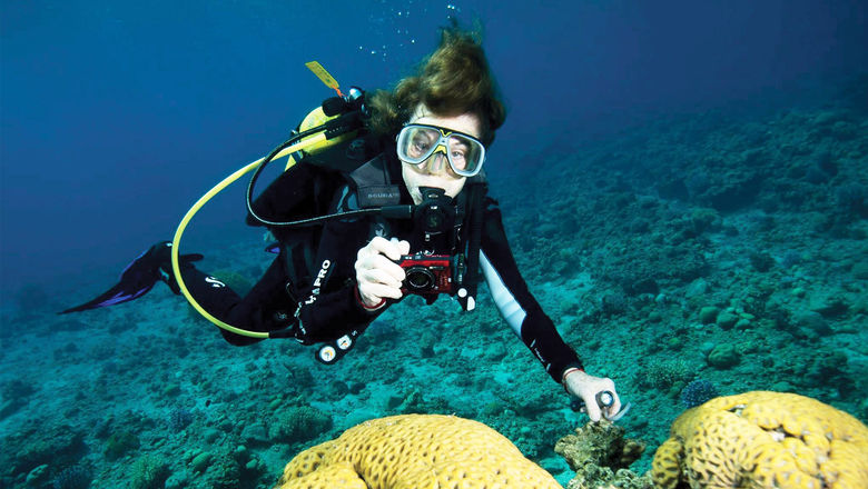 Sylvia Earle is a former chief scientist for the National Oceanic and Atmospheric Administration.