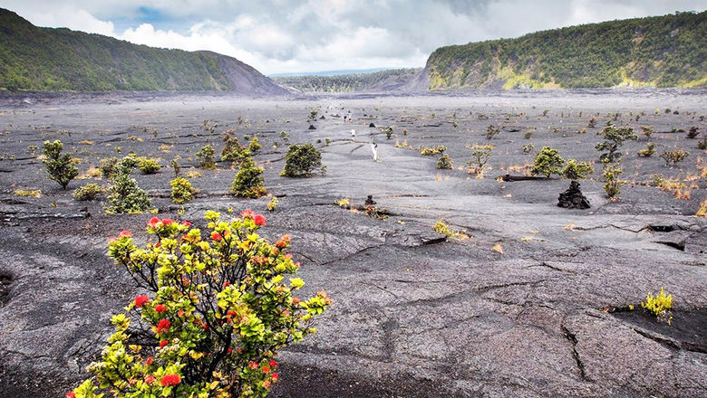 One popular day hike at Hawaii Volcanoes National Park is walking the floor of a solidified lava lake at Kilauea Iki crater.