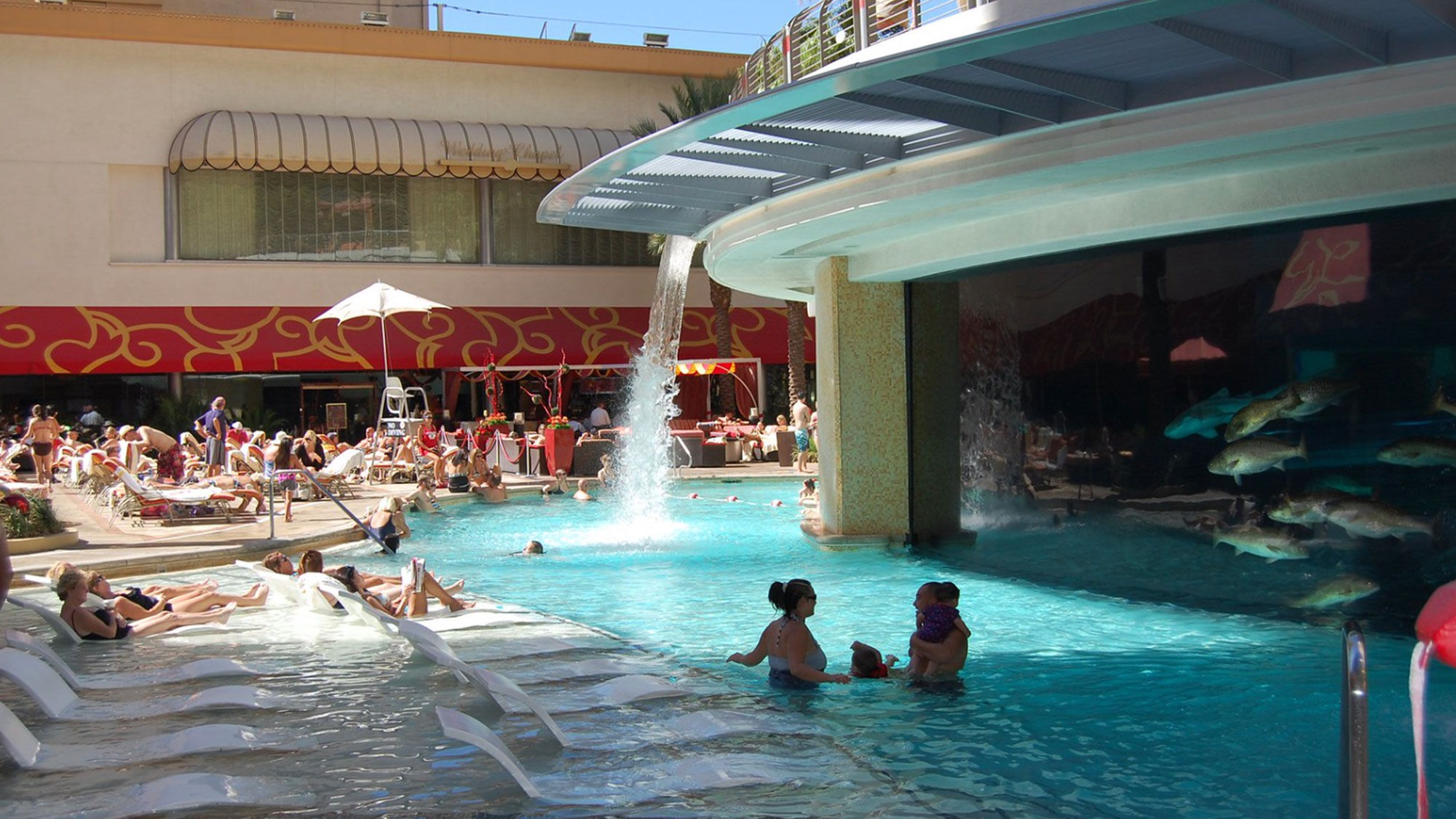 With its 200,000-gallon shark tank aquarium, the Tank at the Golden Nugget was fifth in the same survey.