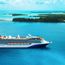 Carnival Corp. sets company record for full-year revenue