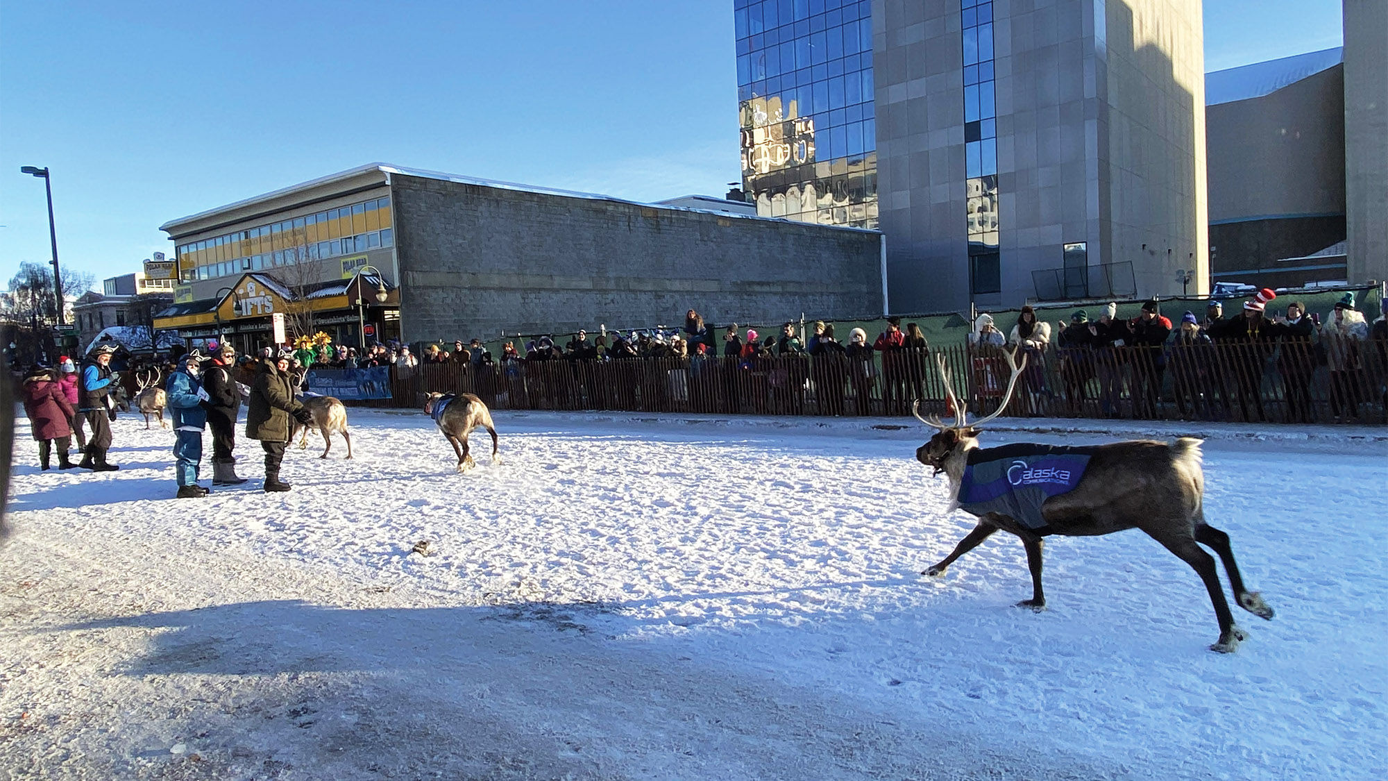 The Fur Rendezvous festival in Anchorage, held annually in late February and early March, features 25 official events. A highlight is the Running of the Reindeer, which is modeled after the Running of the Bulls in Pamplona, Spain.