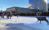 The Fur Rendezvous festival in Anchorage, held annually in late February and early March, features 25 official events. A highlight is the Running of the Reindeer, which is modeled after the Running of the Bulls in Pamplona, Spain.