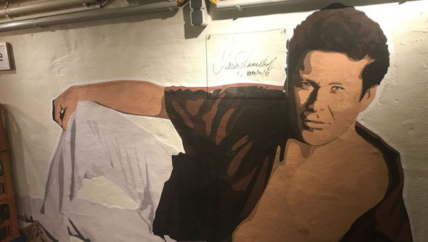 A mural of The Hoff on the wall of the Berlin’s David Hasselhoff Museum. A mural of The Hoff on the wall of the Berlin’s David Hasselhoff Museum.