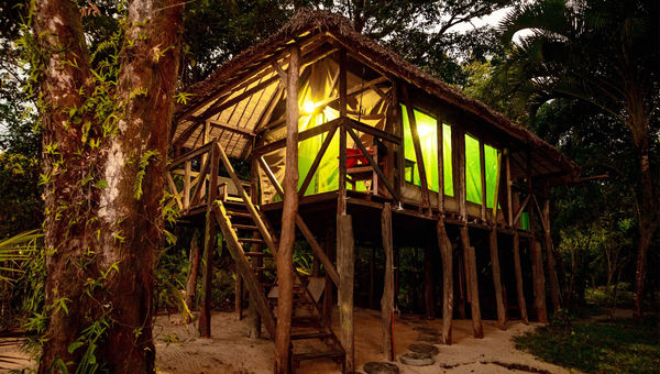 Madagascar's Masoala Forest Lodge offers a truly unique sleeping experience right on the beach. Madagascar's Masoala Forest Lodge offers a truly unique sleeping experience right on the beach.