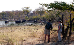 The Wild Expeditions program provides guests with intensive training on wildlife tracking, including approaches on foot and with vehicles.