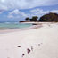 United expands its service to Barbados