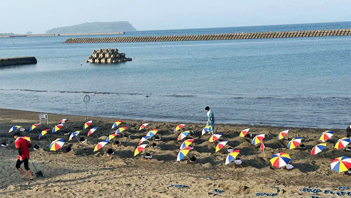Ibusuki Beach, south of Kagoshima, where visitors enjoy being buried up to the neck in hot sand.