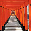 The torii gate of the Ikuta Shrine in Kobe.