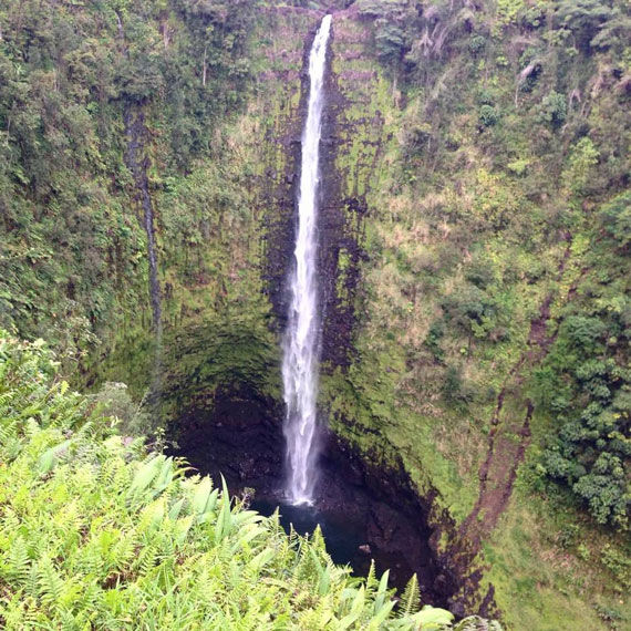 Visitors to the east side of the island can see Akaka Falls.