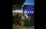 Doya, an Aegean Meze restaurant and bar located in the Wynwood section of Miami. The Mediterranean restaurant, inspired by coastal cuisine of Greece and Turkiye, is a popular eatery that opened in 2022 and has since become a Michelin Bib Gourmand establishment.